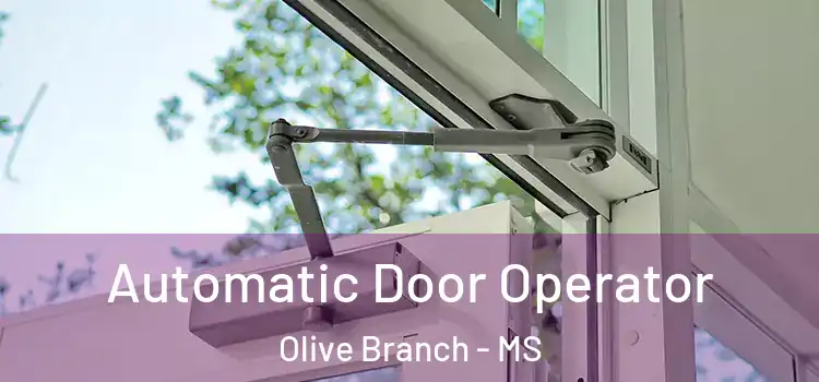 Automatic Door Operator Olive Branch - MS
