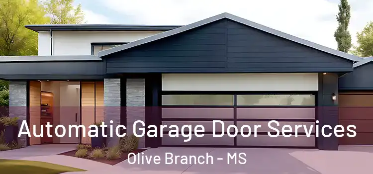  Automatic Garage Door Services Olive Branch - MS