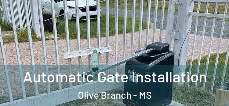 Automatic Gate Installation Olive Branch - MS