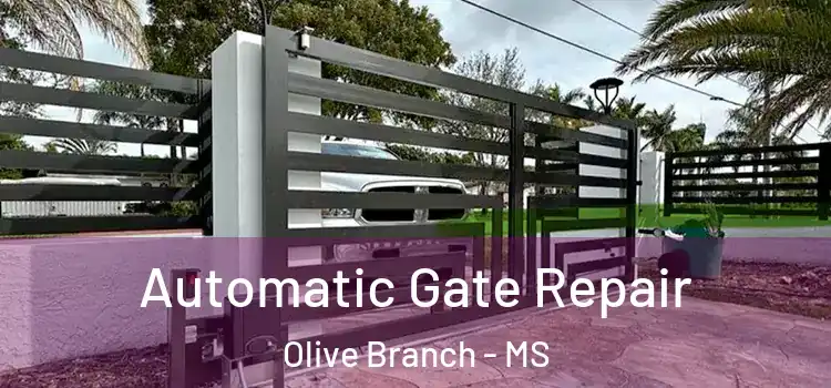  Automatic Gate Repair Olive Branch - MS