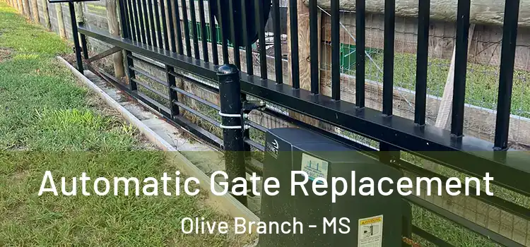 Automatic Gate Replacement Olive Branch - MS