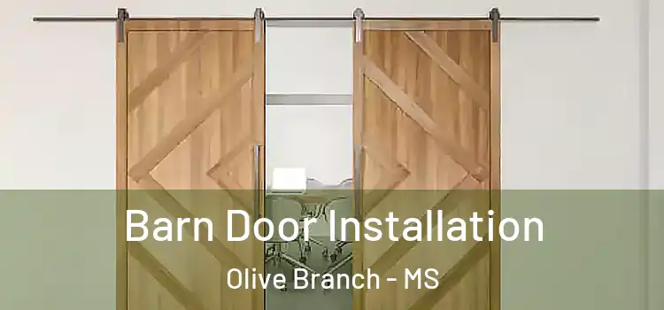  Barn Door Installation Olive Branch - MS