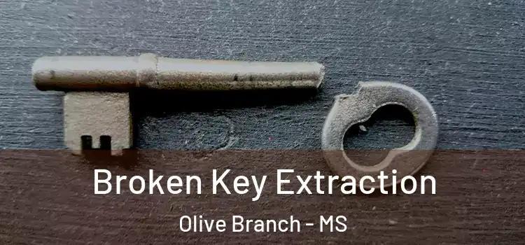  Broken Key Extraction Olive Branch - MS