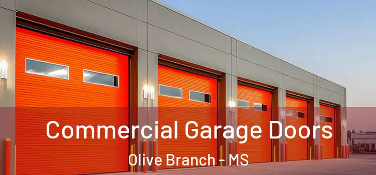 Commercial Garage Doors Olive Branch - MS