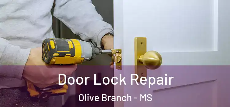  Door Lock Repair Olive Branch - MS