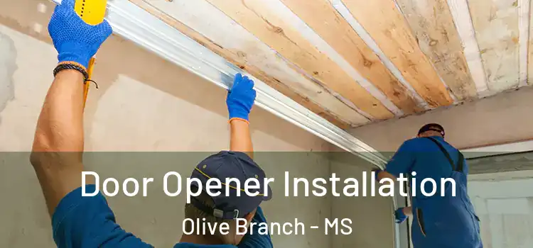 Door Opener Installation Olive Branch - MS