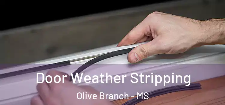 Door Weather Stripping Olive Branch - MS