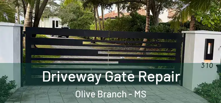 Driveway Gate Repair Olive Branch - MS