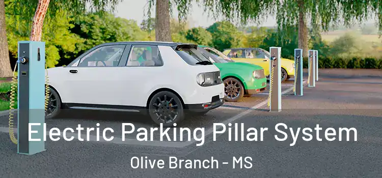  Electric Parking Pillar System Olive Branch - MS