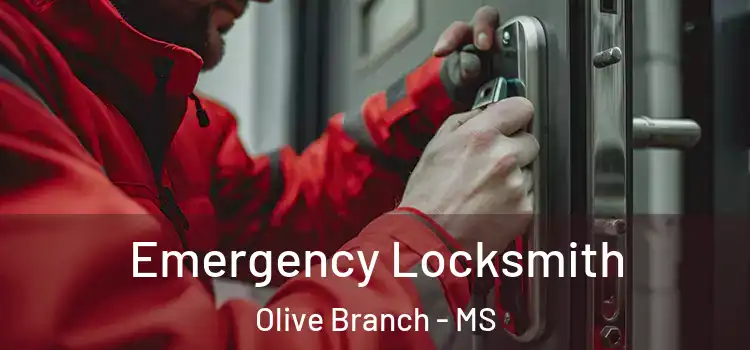  Emergency Locksmith Olive Branch - MS
