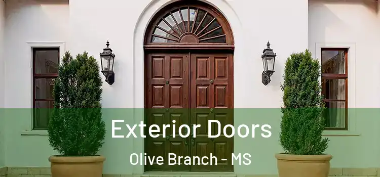 Exterior Doors Olive Branch - MS