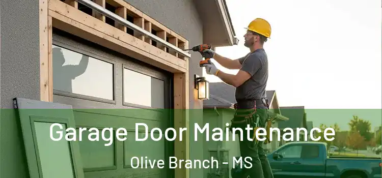  Garage Door Maintenance Olive Branch - MS