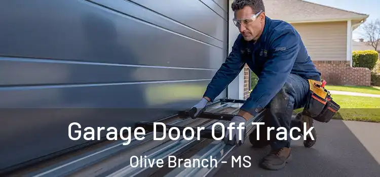  Garage Door Off Track Olive Branch - MS