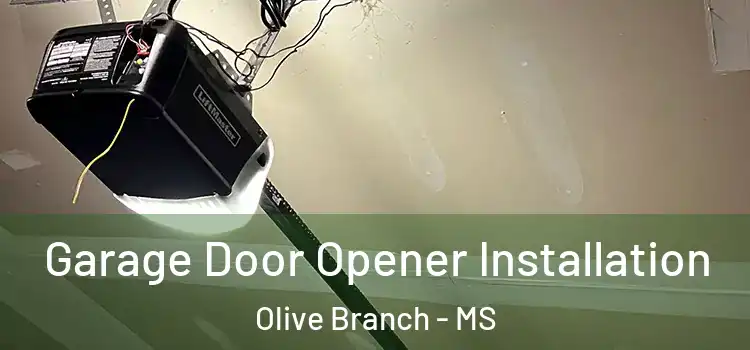  Garage Door Opener Installation Olive Branch - MS