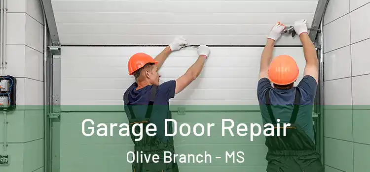  Garage Door Repair Olive Branch - MS