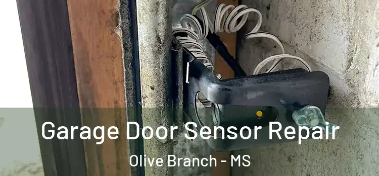 Garage Door Sensor Repair Olive Branch - MS