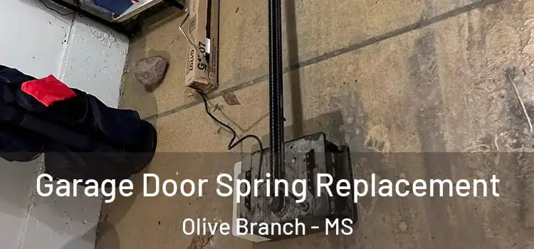  Garage Door Spring Replacement Olive Branch - MS