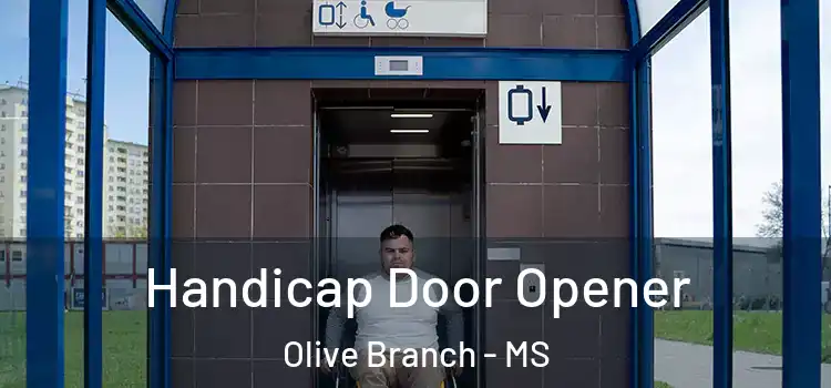 Handicap Door Opener Olive Branch - MS
