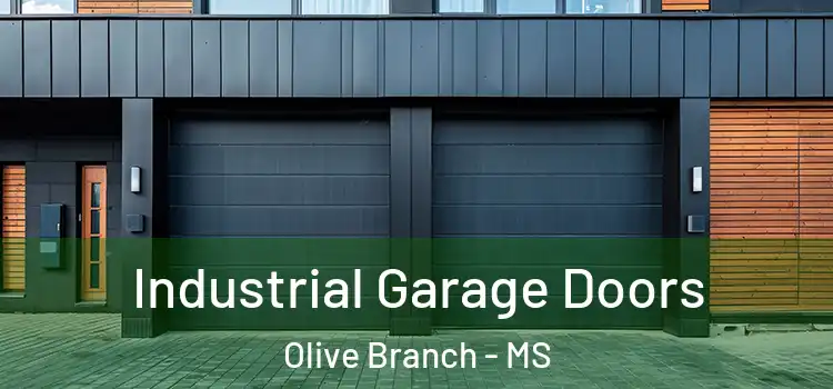  Industrial Garage Doors Olive Branch - MS