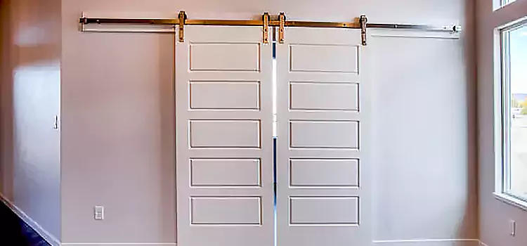 Glass Barn Door with Installation Hardware Kit Olive Branch