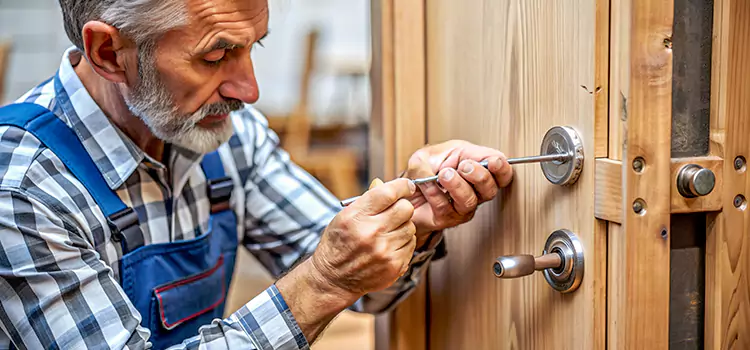 Mortise Replacement Lock Olive Branch