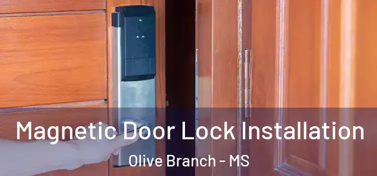  Magnetic Door Lock Installation Olive Branch - MS