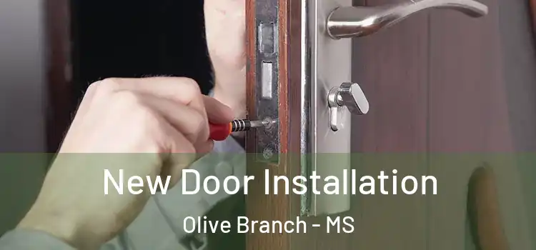  New Door Installation Olive Branch - MS