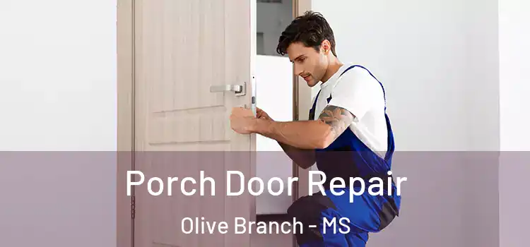  Porch Door Repair Olive Branch - MS