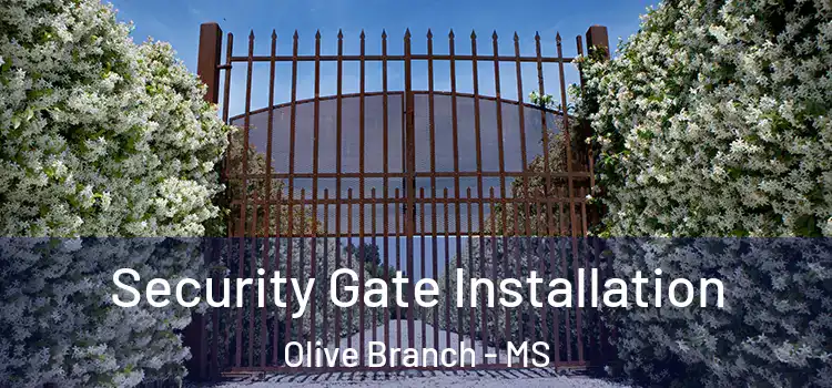  Security Gate Installation Olive Branch - MS
