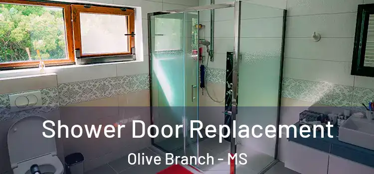  Shower Door Replacement Olive Branch - MS