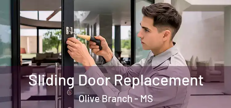  Sliding Door Replacement Olive Branch - MS