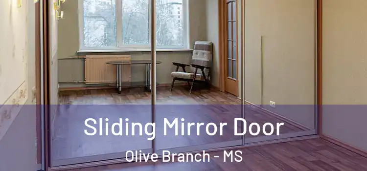  Sliding Mirror Door Olive Branch - MS