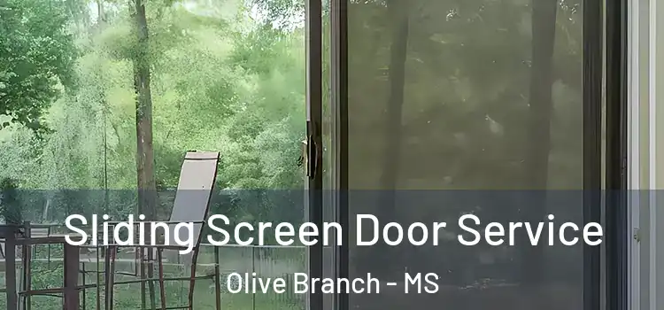  Sliding Screen Door Service Olive Branch - MS
