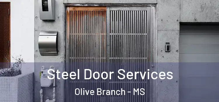 Steel Door Services Olive Branch - MS